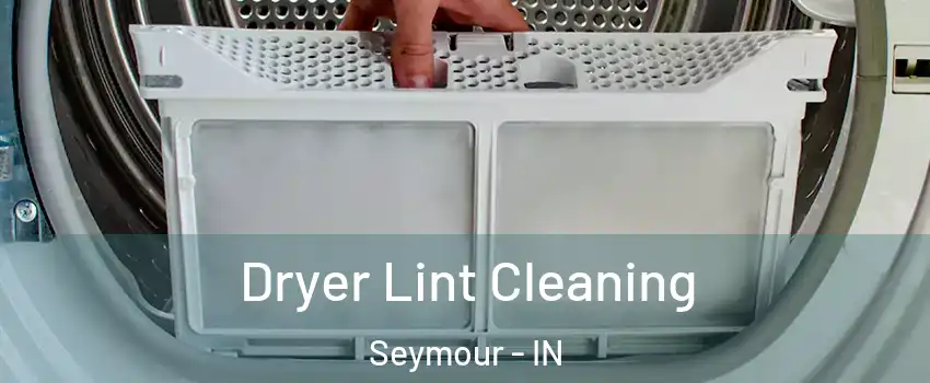  Dryer Lint Cleaning Seymour - IN